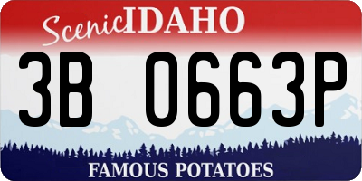 ID license plate 3B0663P