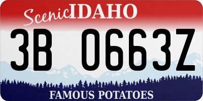 ID license plate 3B0663Z