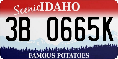 ID license plate 3B0665K