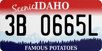 ID license plate 3B0665L