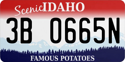 ID license plate 3B0665N