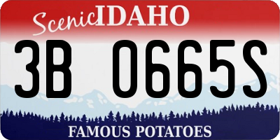 ID license plate 3B0665S