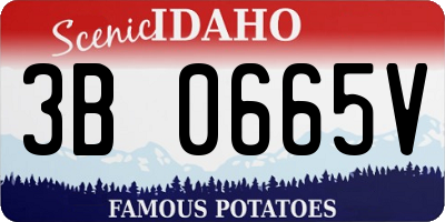 ID license plate 3B0665V