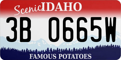 ID license plate 3B0665W