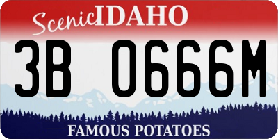 ID license plate 3B0666M