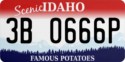 ID license plate 3B0666P