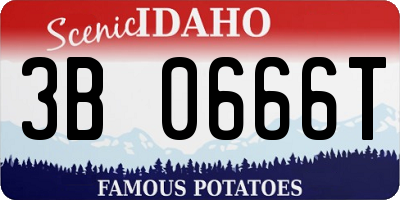 ID license plate 3B0666T