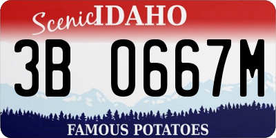 ID license plate 3B0667M