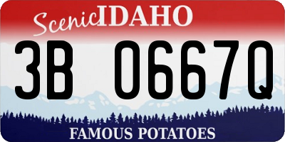 ID license plate 3B0667Q