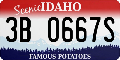 ID license plate 3B0667S