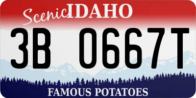 ID license plate 3B0667T