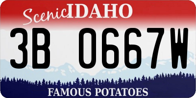 ID license plate 3B0667W