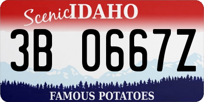 ID license plate 3B0667Z