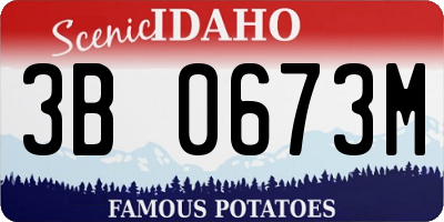 ID license plate 3B0673M