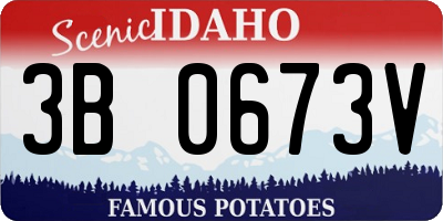 ID license plate 3B0673V