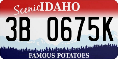ID license plate 3B0675K