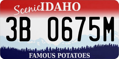 ID license plate 3B0675M
