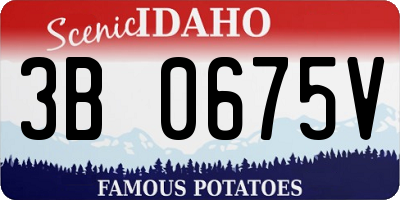 ID license plate 3B0675V