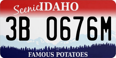 ID license plate 3B0676M