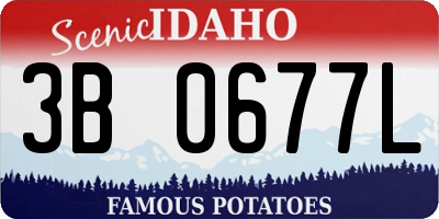 ID license plate 3B0677L