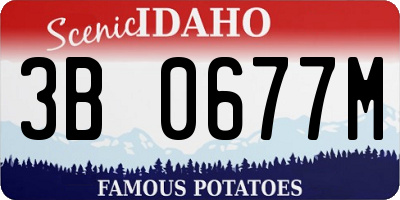 ID license plate 3B0677M