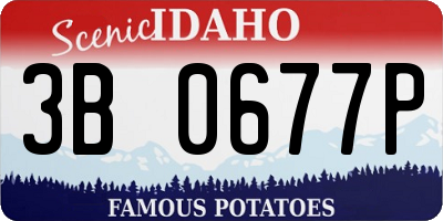 ID license plate 3B0677P