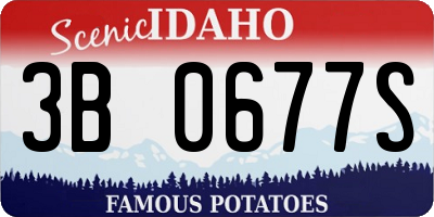 ID license plate 3B0677S