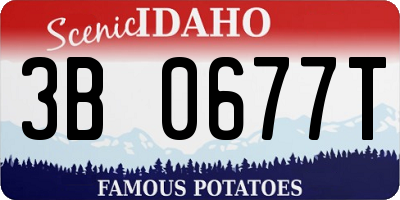 ID license plate 3B0677T