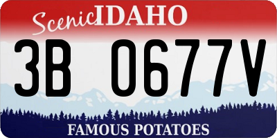 ID license plate 3B0677V