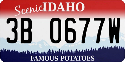 ID license plate 3B0677W