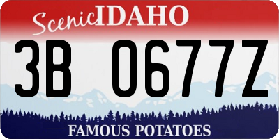 ID license plate 3B0677Z
