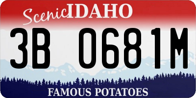 ID license plate 3B0681M