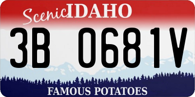ID license plate 3B0681V