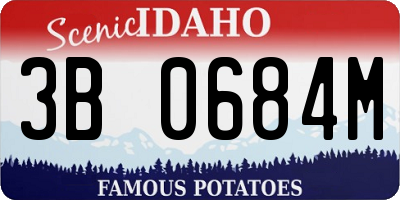 ID license plate 3B0684M