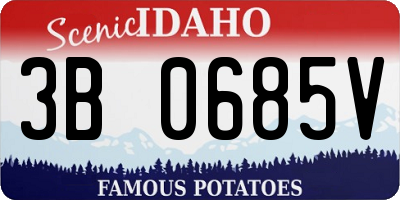 ID license plate 3B0685V