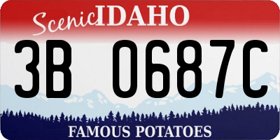 ID license plate 3B0687C