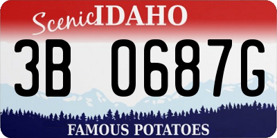 ID license plate 3B0687G