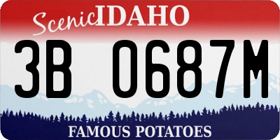 ID license plate 3B0687M