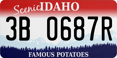 ID license plate 3B0687R
