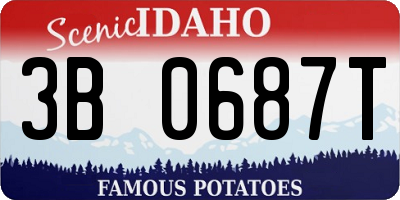 ID license plate 3B0687T