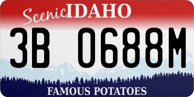 ID license plate 3B0688M
