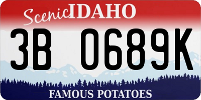 ID license plate 3B0689K