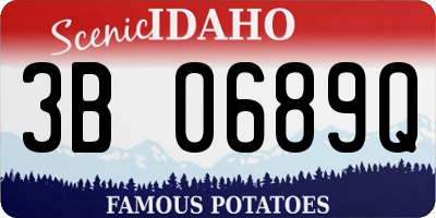 ID license plate 3B0689Q