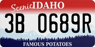 ID license plate 3B0689R