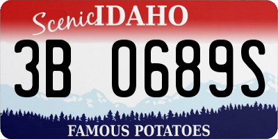ID license plate 3B0689S