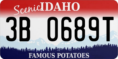 ID license plate 3B0689T