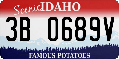 ID license plate 3B0689V