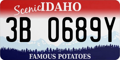 ID license plate 3B0689Y