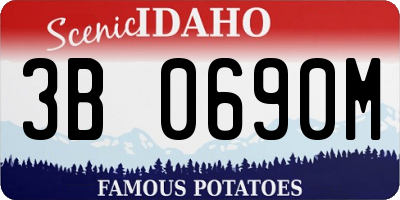 ID license plate 3B0690M