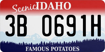 ID license plate 3B0691H